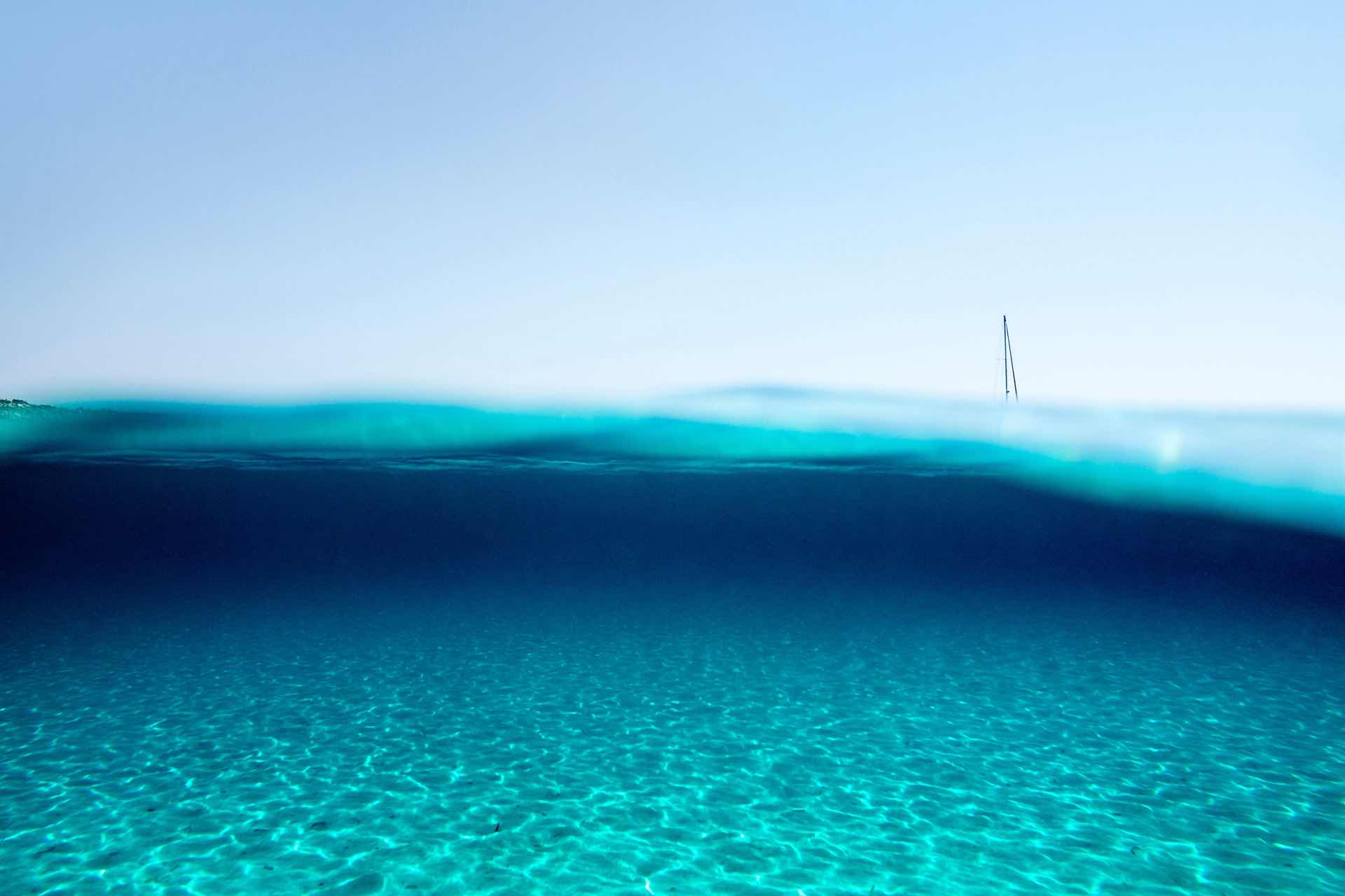 marinavernicos